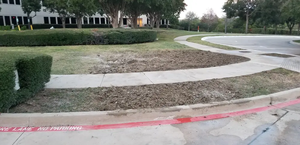 Dirt work and site preparation on a Grayson County property